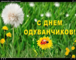 13 мая - День одуванчика 13 мая - День одуванчика.